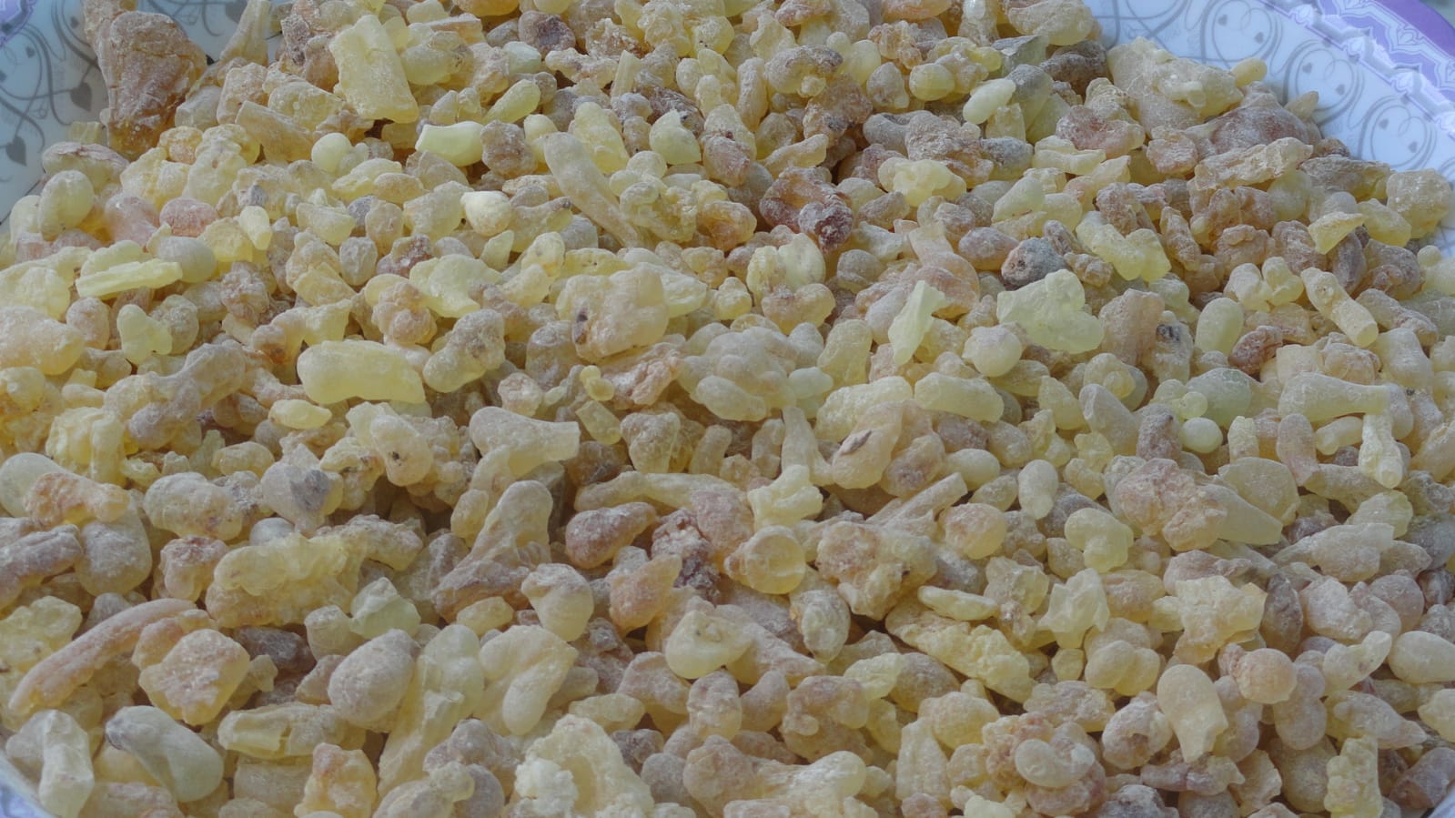 Frankincense (Boswellia) - 1