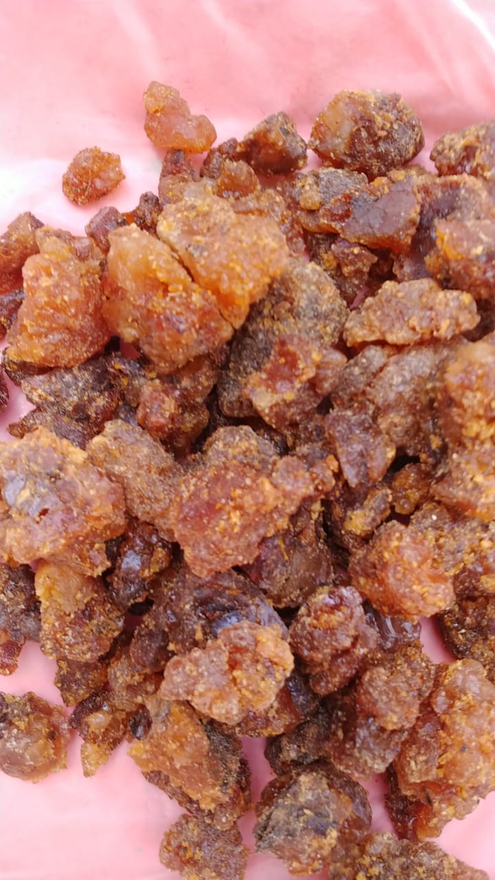 Myrrh (Commiphora Myrrha) - 1