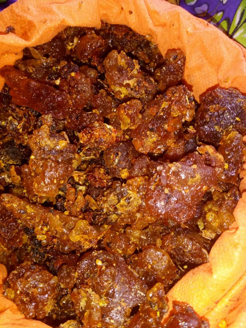 Opoponax ( Commiphora Opoponax) - 1